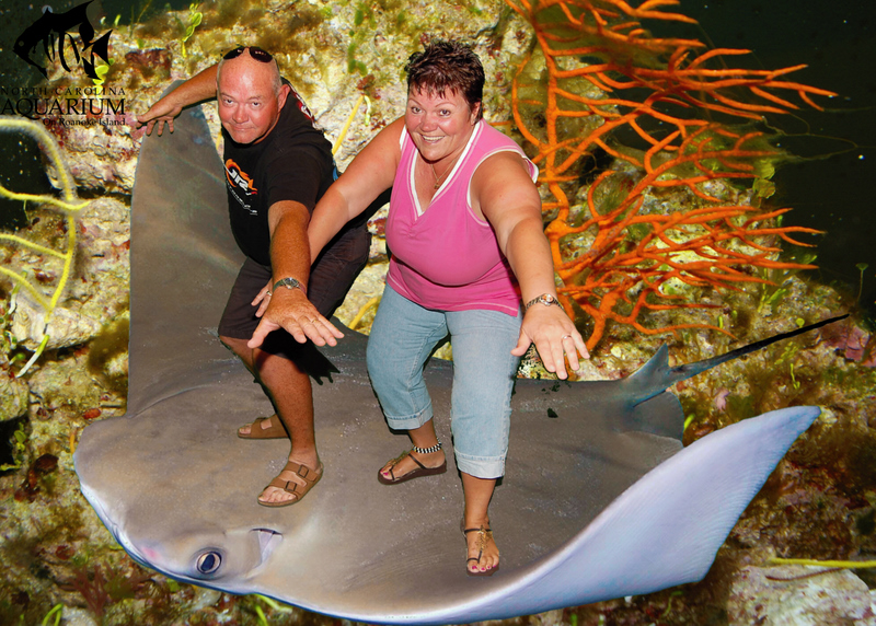 NC Aquarium - Riding the Stingray